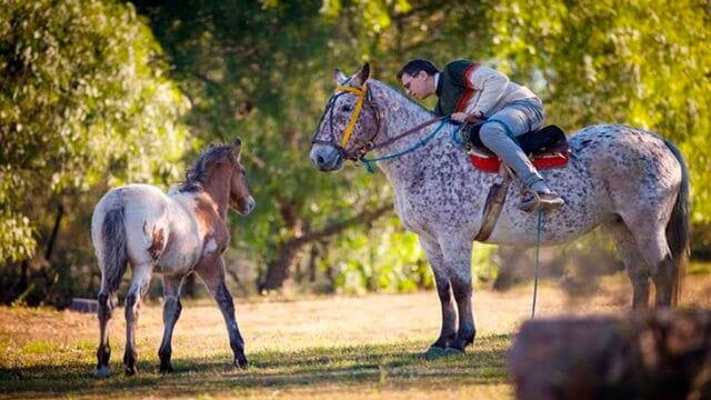 actividades en guayascate, destino las sierras