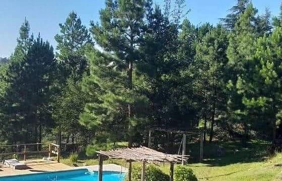 los arboles, destino las sierras