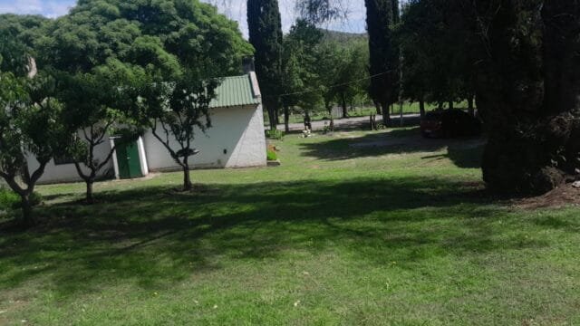 WhatsApp Image 2024-11-03 at 11.15.10